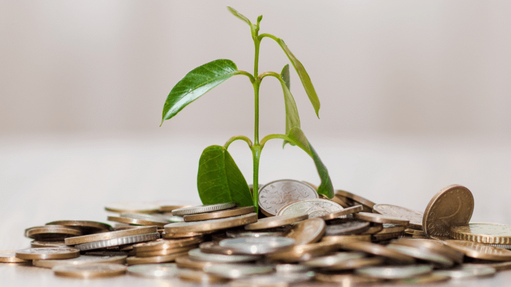 Biblical financial principles