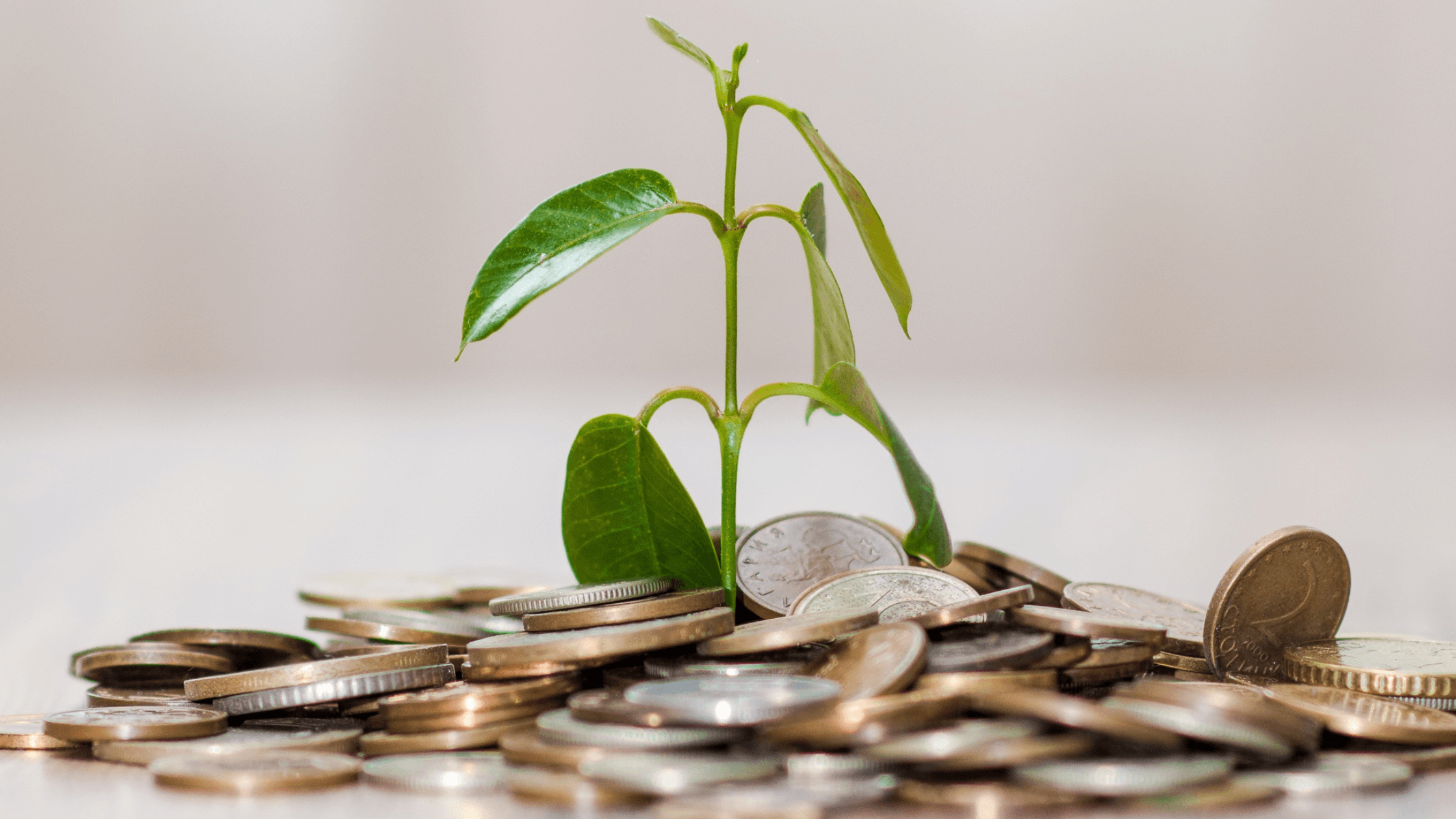 Biblical financial principles